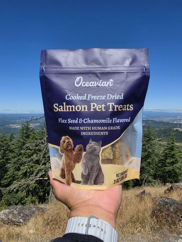 Salmon Pet.webp